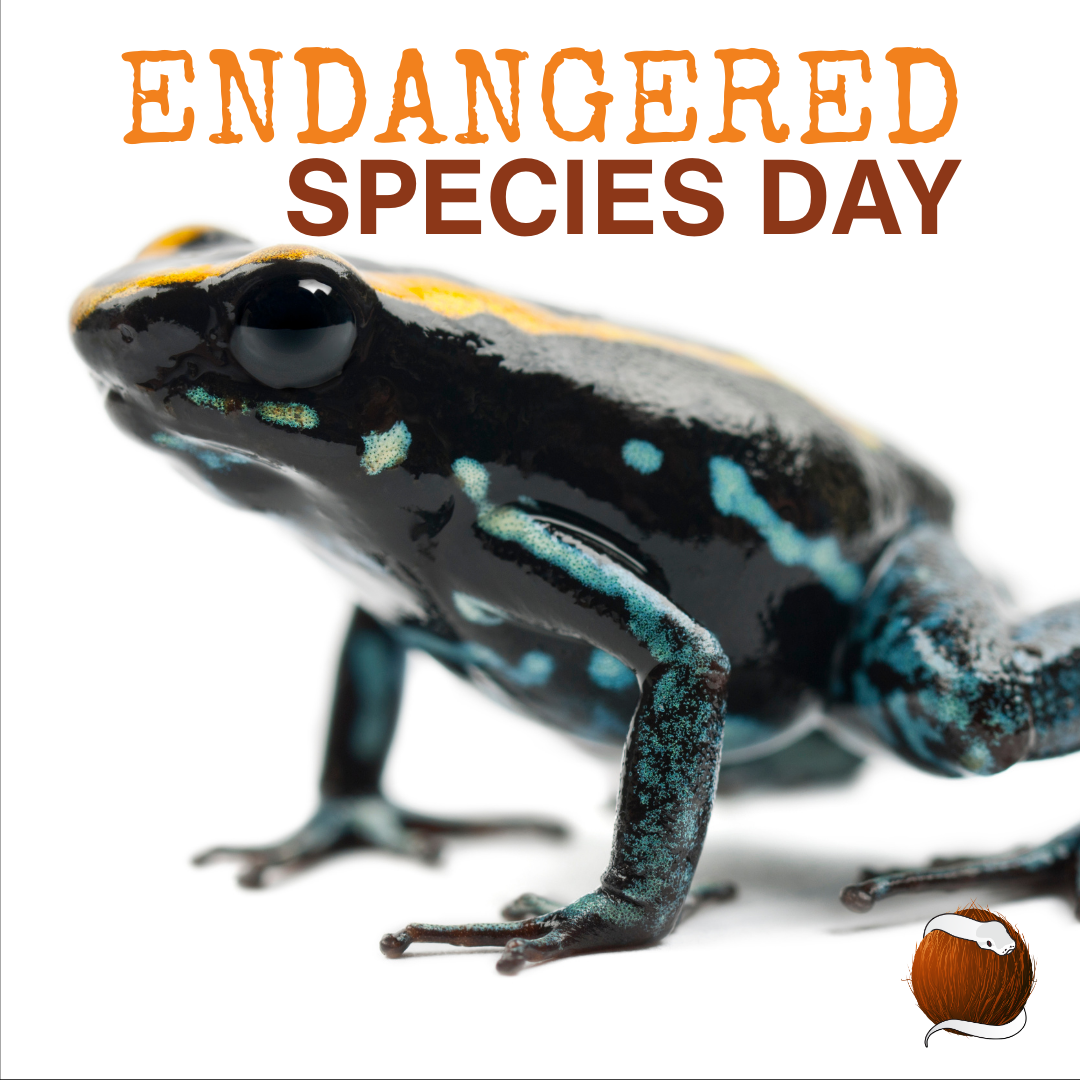 Celebrate Endangered Species Day