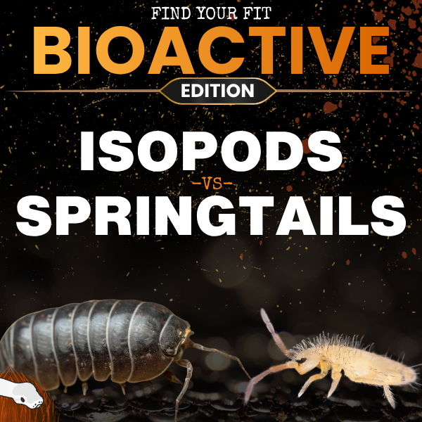 Isopods...