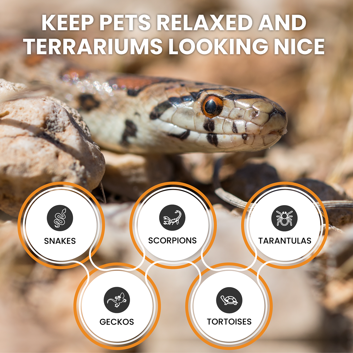 ReptiEarth Fine Coconut Fiber Mix; Ready to Use