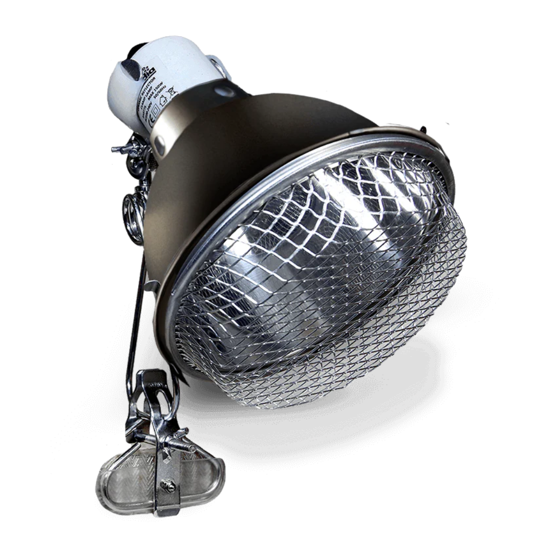 Arcadia Ceramic Reflector Clamp Lamp, Graphite