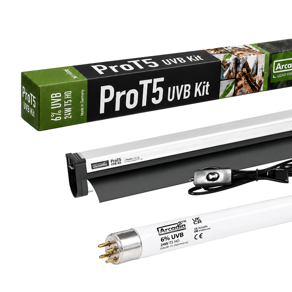 Arcadia 6% UVB D3 Forest Lighting Kit – Premium Reptile UVB