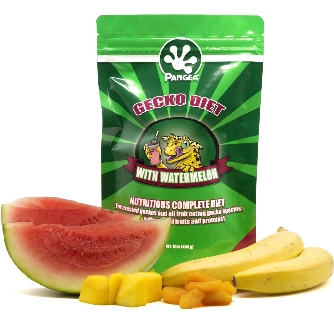 Pangea Complete Gecko Diet, Watermelon