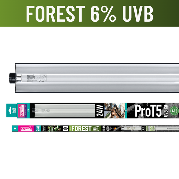Arcadia 6% UVB D3 Forest Lighting Kit – Premium Reptile UVB