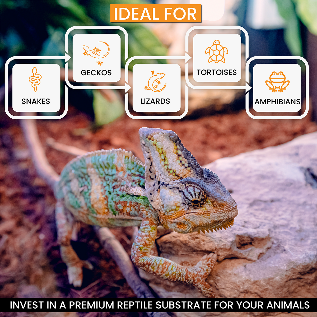 Upgrade your reptile habitat with premium reptile substrate, perfect for reptile tank accessories and snake enclosures.