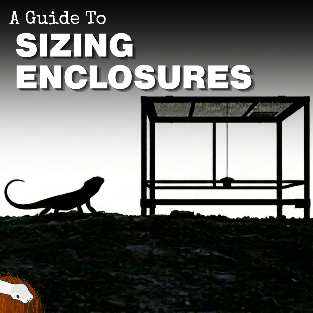 Why You...