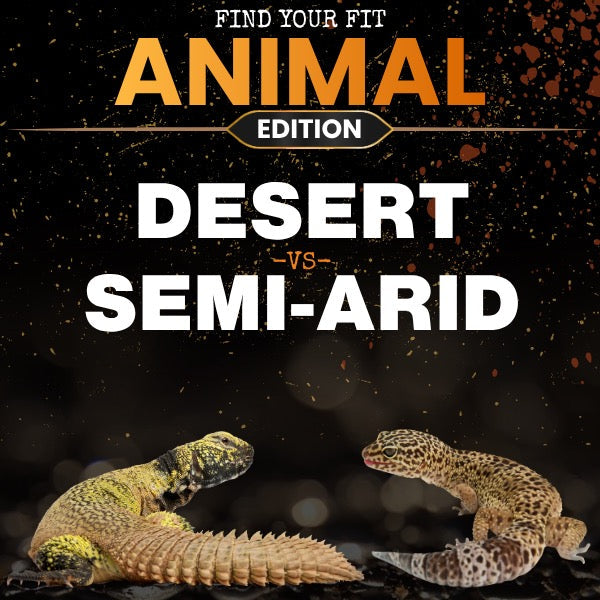 Desert ...