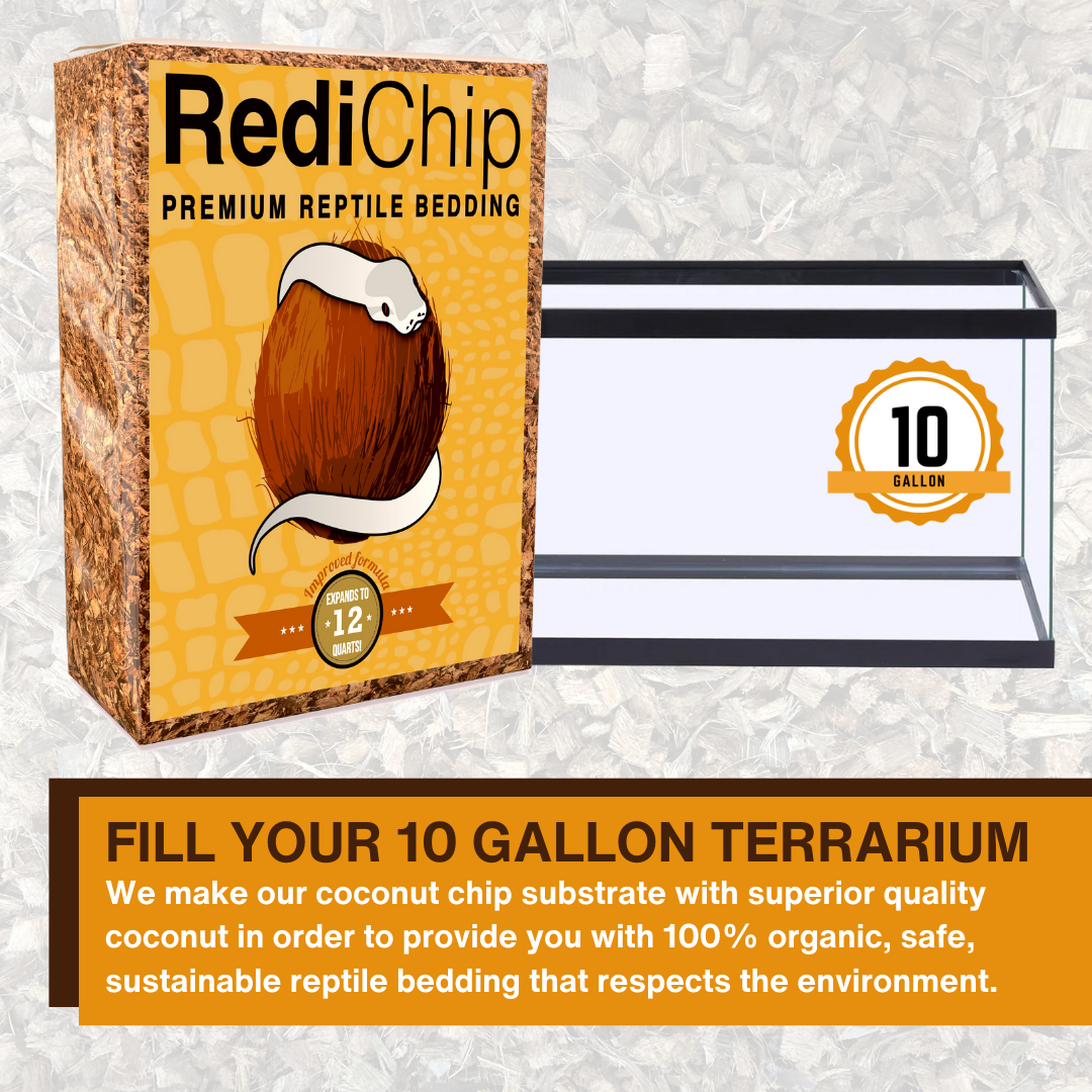 RediChip Premium Medium Sized Coconut Chips; Ready to Use