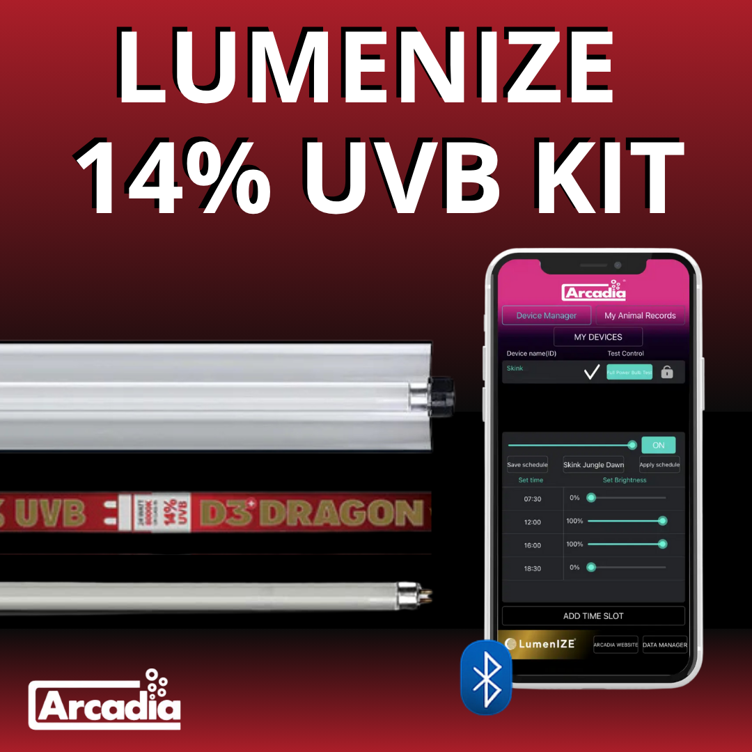 Arcadia 14% UVB D3 Dragon Lighting