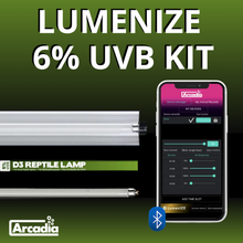 Arcadia 6% UVB D3 Forest Lighting