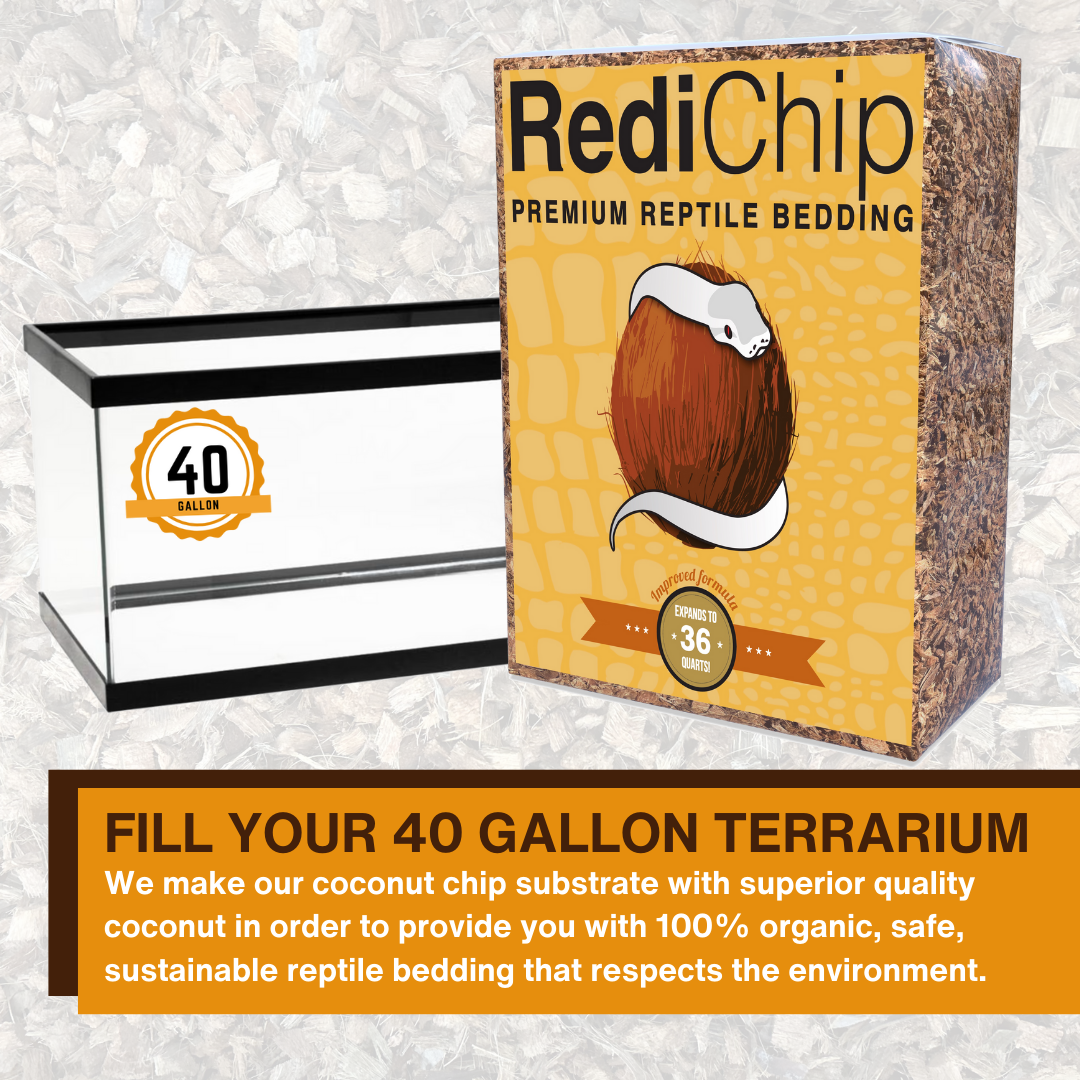 RediChip Premium Medium Sized Coconut Chips; Ready to Use