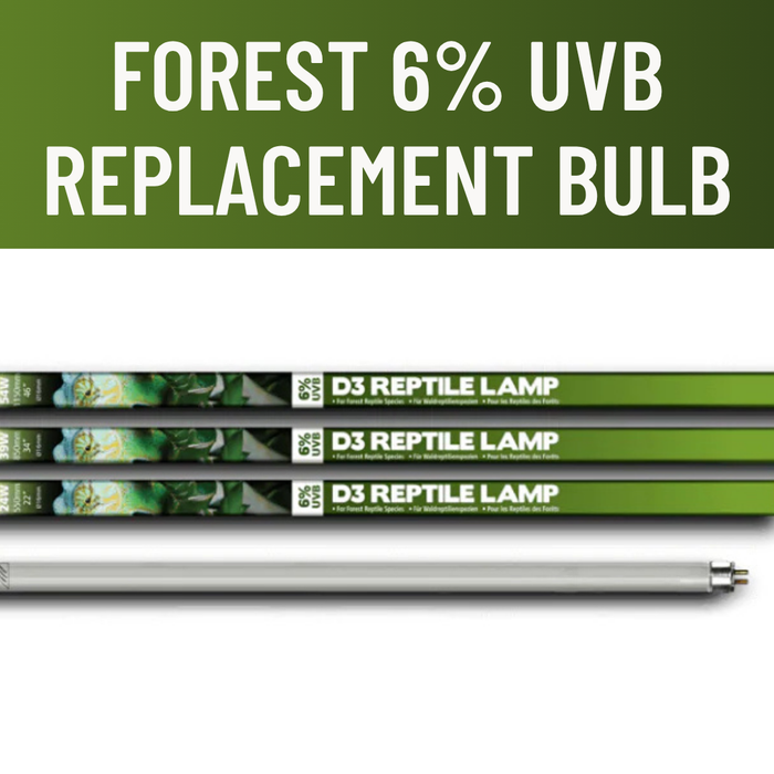 Arcadia ProT5 6% UVB D3 Forest Replacement Bulb