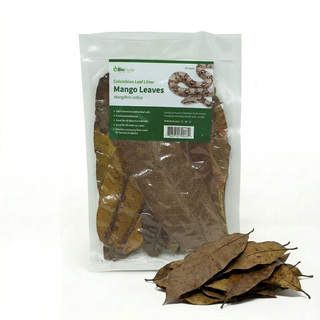 Colombian Leaf Litter - Mango Leaves, 20 count