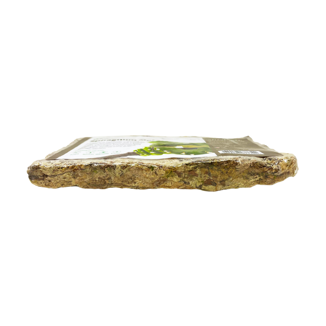 Compressed Sphagnum Moss Brick, 150 Grams