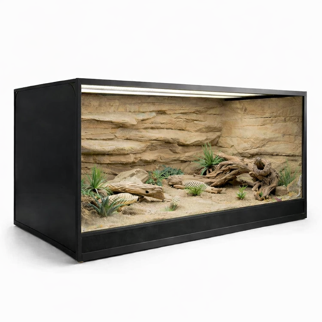Subadult Kimberley Rock Monitor Bundle