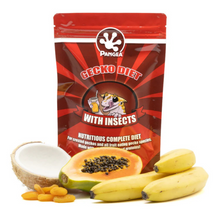 Pangea Complete Gecko Diet with Insects