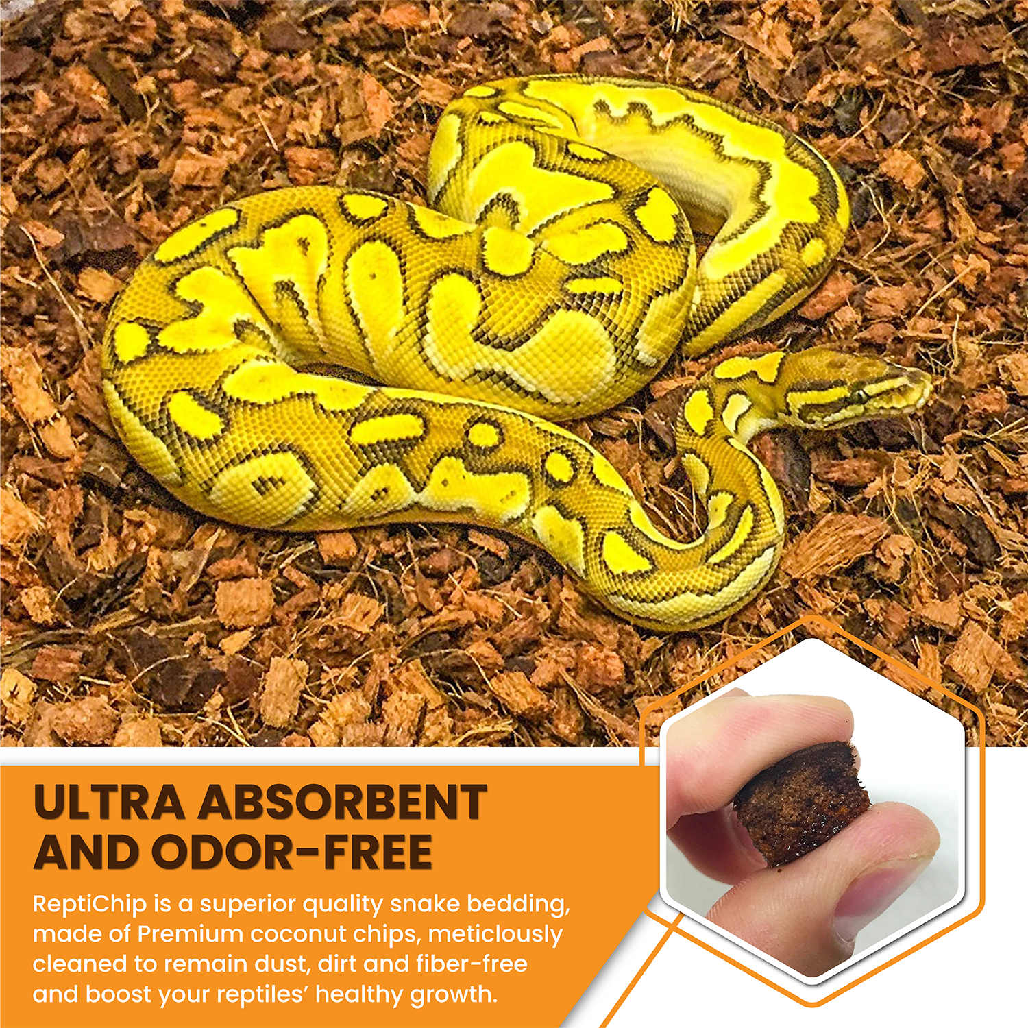 Coconut fiber bedding for snakes deals
