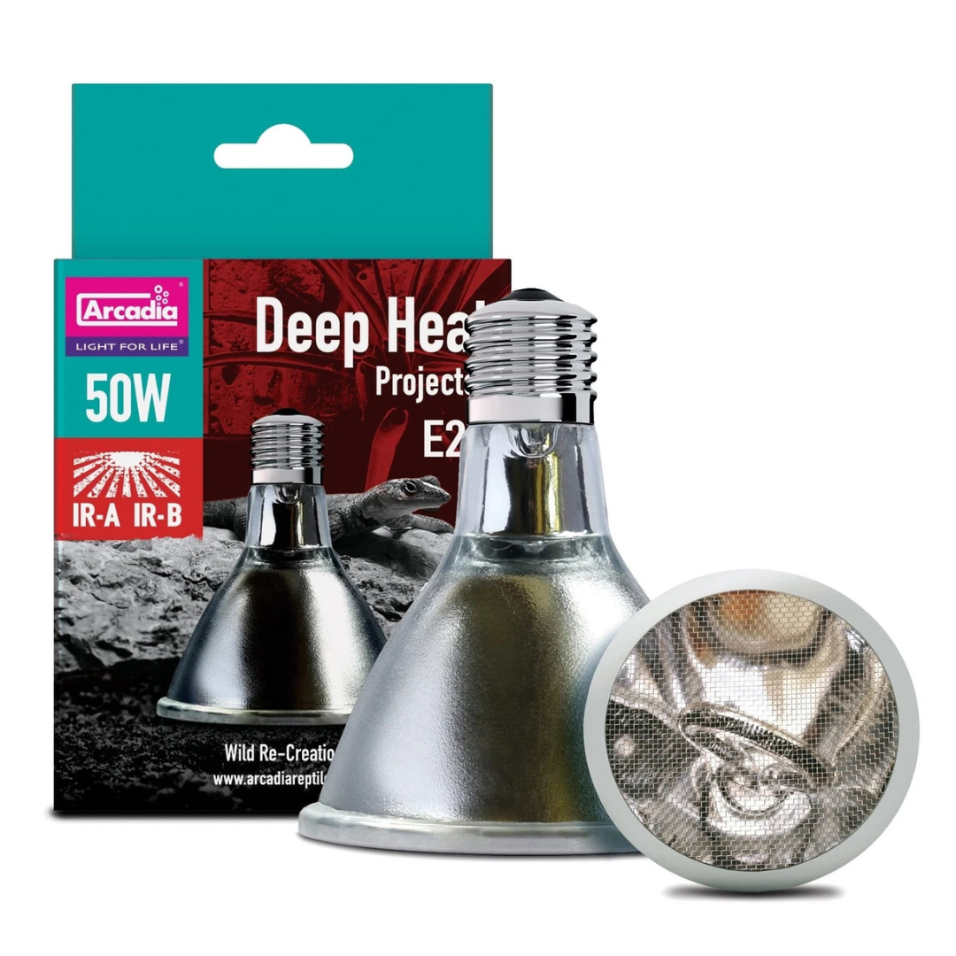 An Arcadia Deep Heat Projectors (CPU) 50W infrared heating bulb is displayed beside its packaging, featuring a silver screw-base lamp for reptiles and a branded box with product info against a red and teal background.