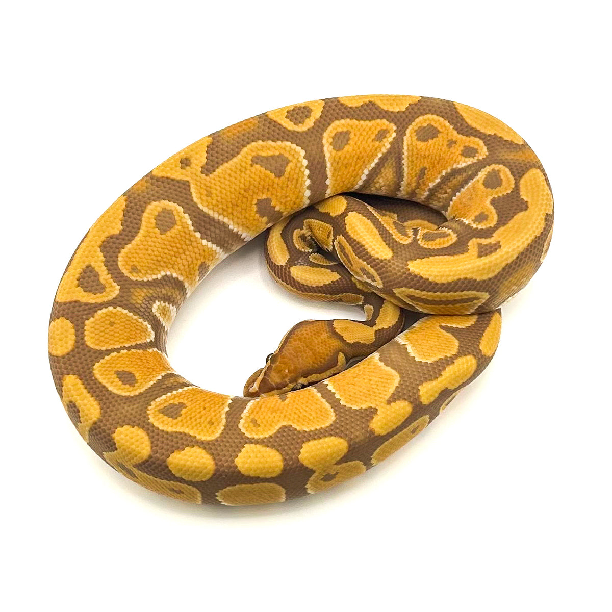 Ultramel het Hypo