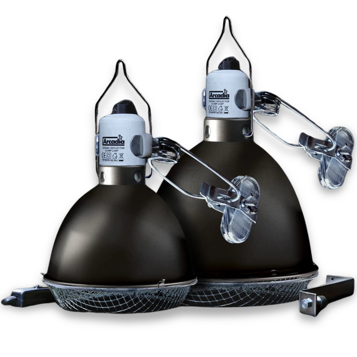 Two Arcadia Ceramic Reflector Clamp Lamps in graphite, dome-shaped with silver mesh covers, are positioned side by side against a white background.