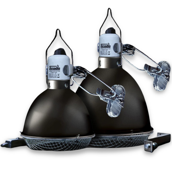 Arcadia Ceramic Reflector Clamp Lamp Graphite | Premium Reptile