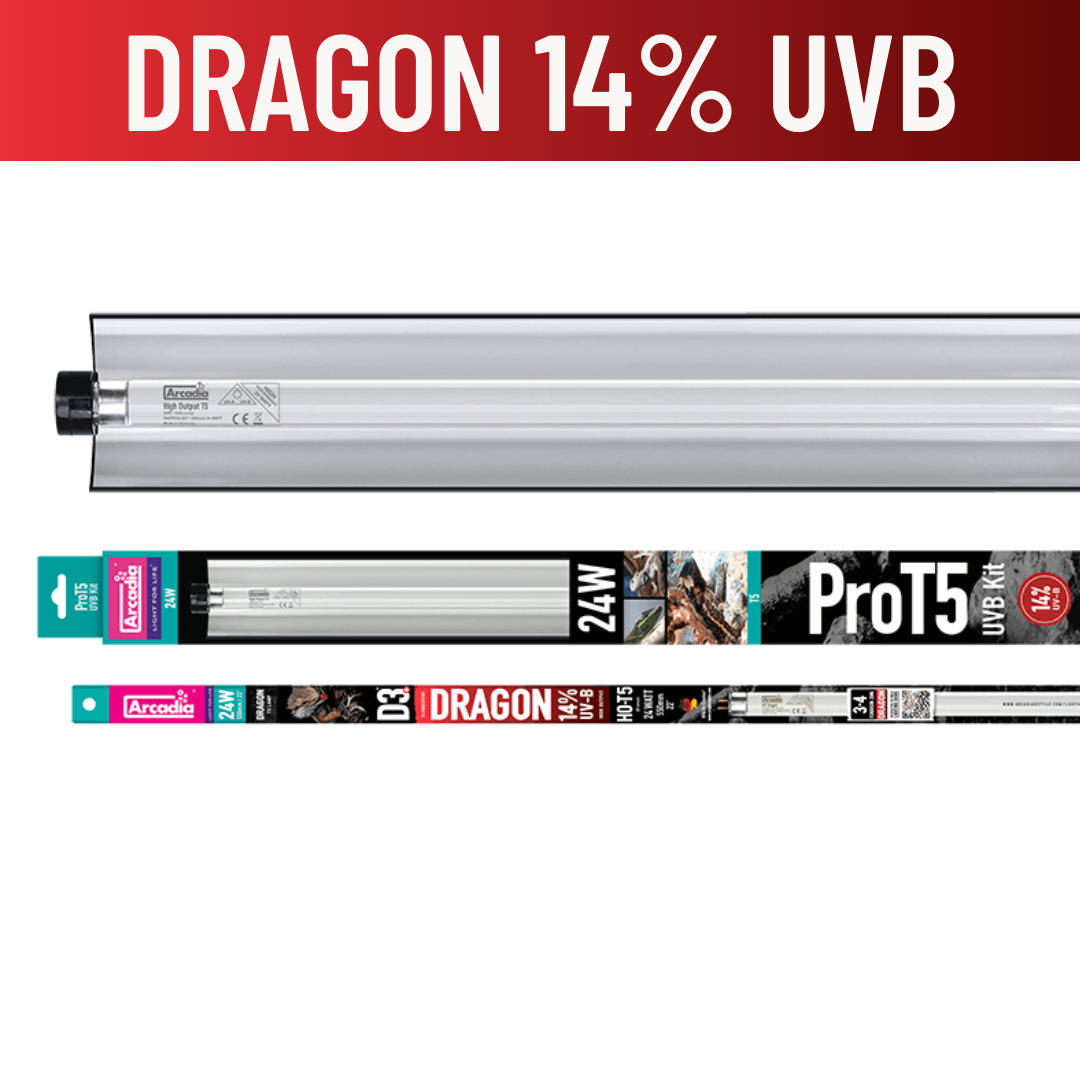 Arcadia ProT5 14% UVB D3 Dragon Lighting Kit