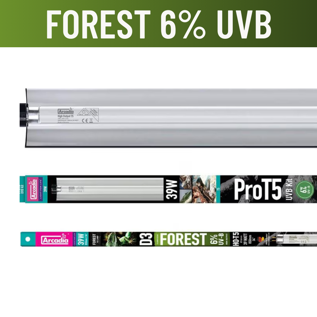 Arcadia ProT5 UVB Lighting Kits