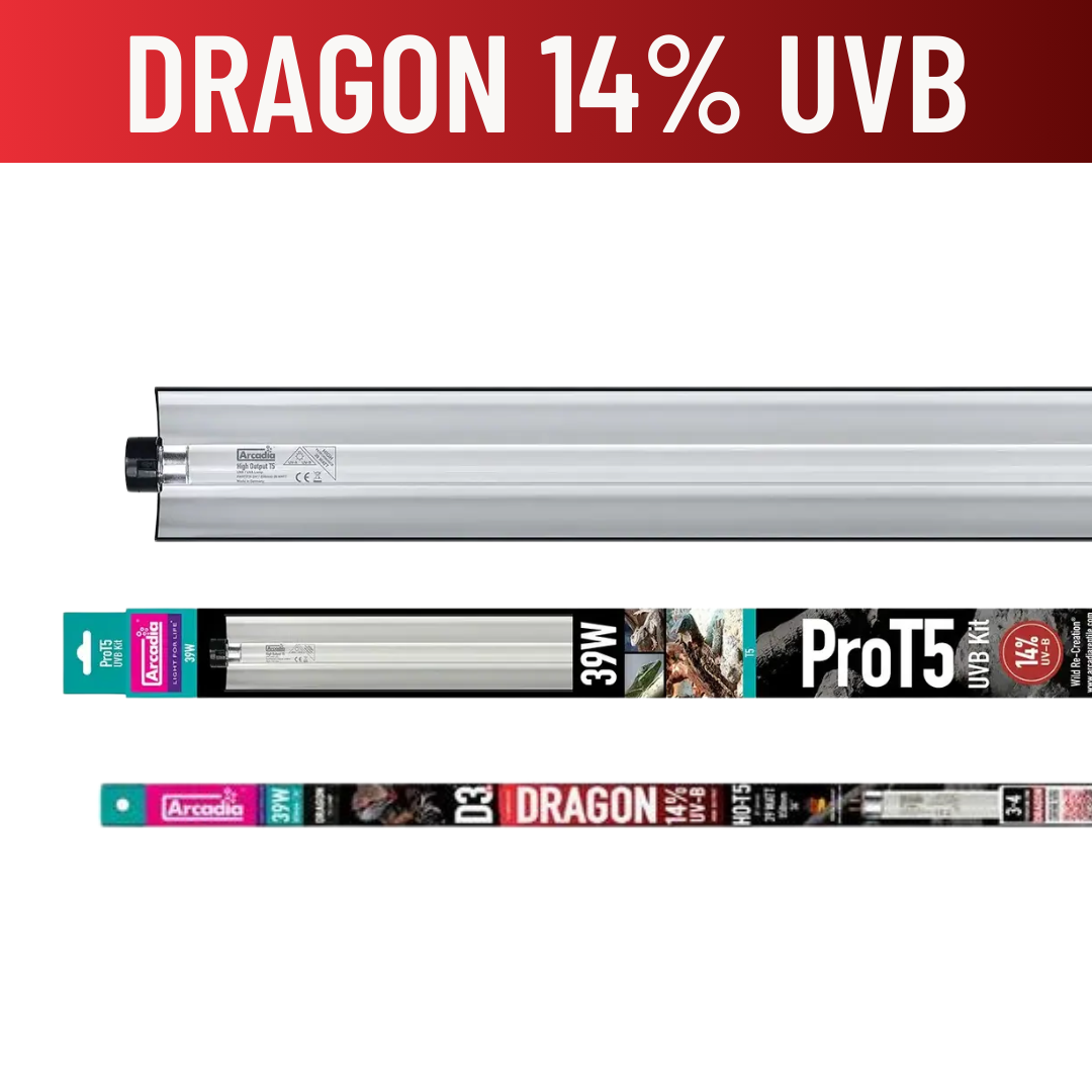 Arcadia ProT5 UVB Lighting Kits