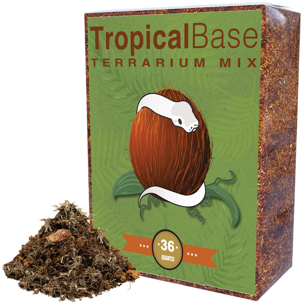 TropicalBase
