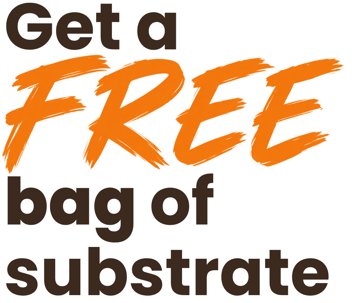Get a FREE bag of substrate