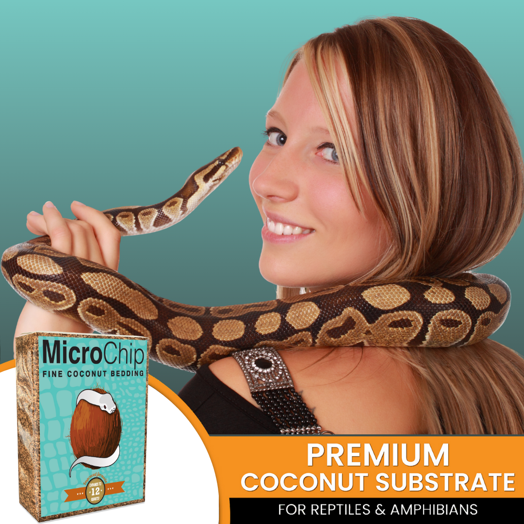 MicroChip Fine Coconut Chip Mix