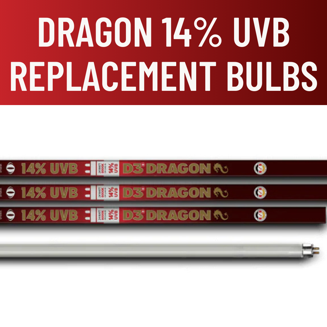 Arcadia 14% UVB D3 Dragon Lighting