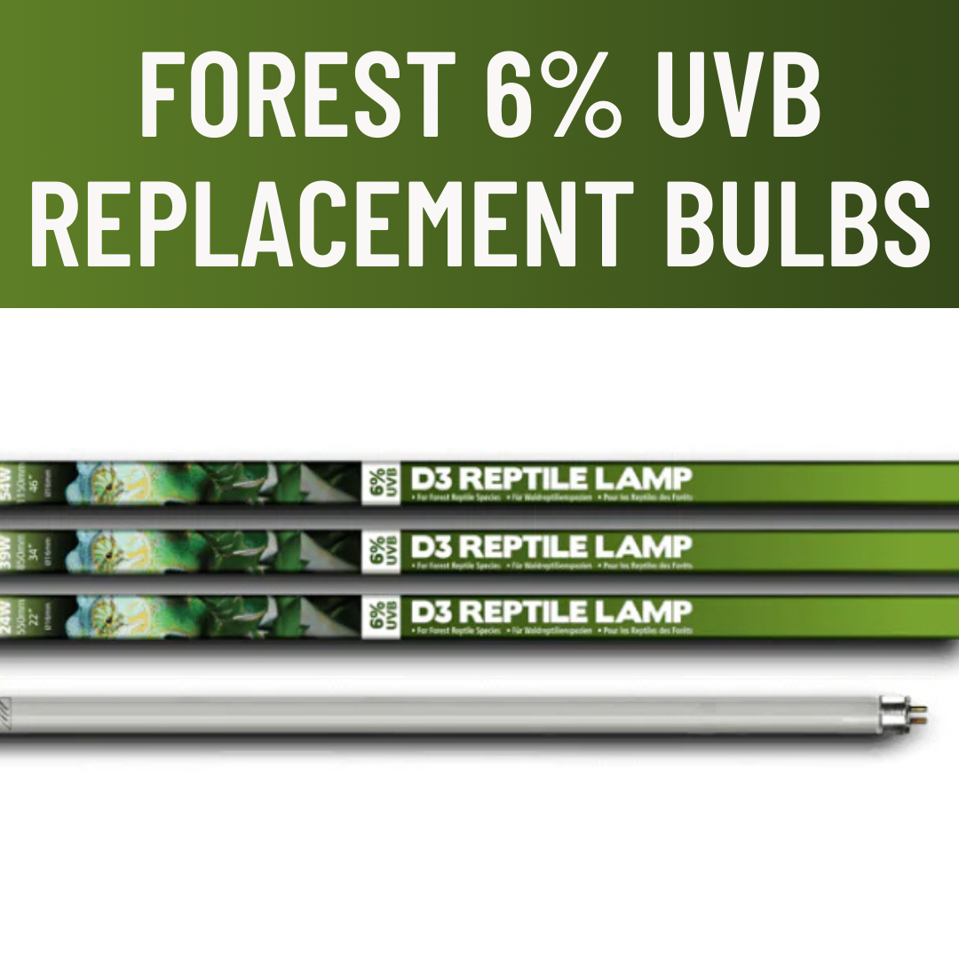 Arcadia 6% UVB D3 Forest Lighting