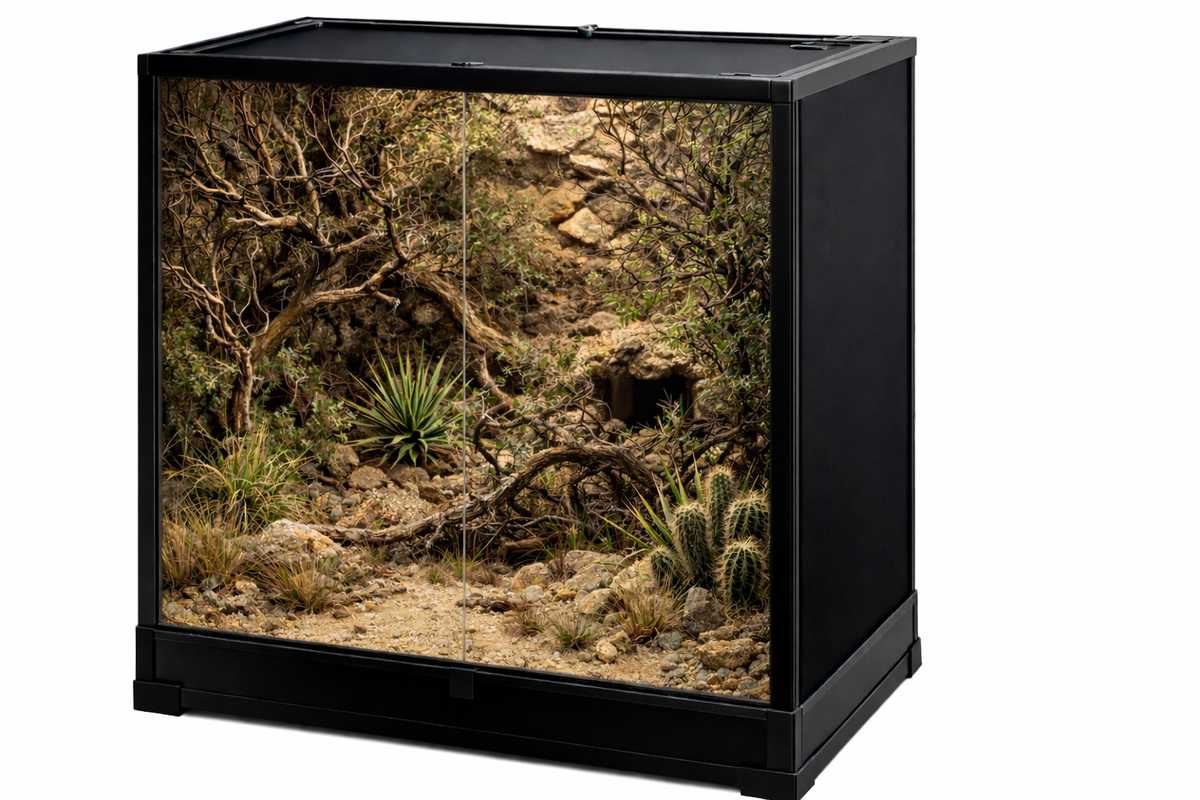 Juvenile Savannah Monitor Bundle