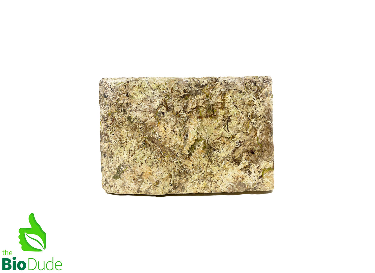 Compressed Sphagnum Moss Brick 150 Grams