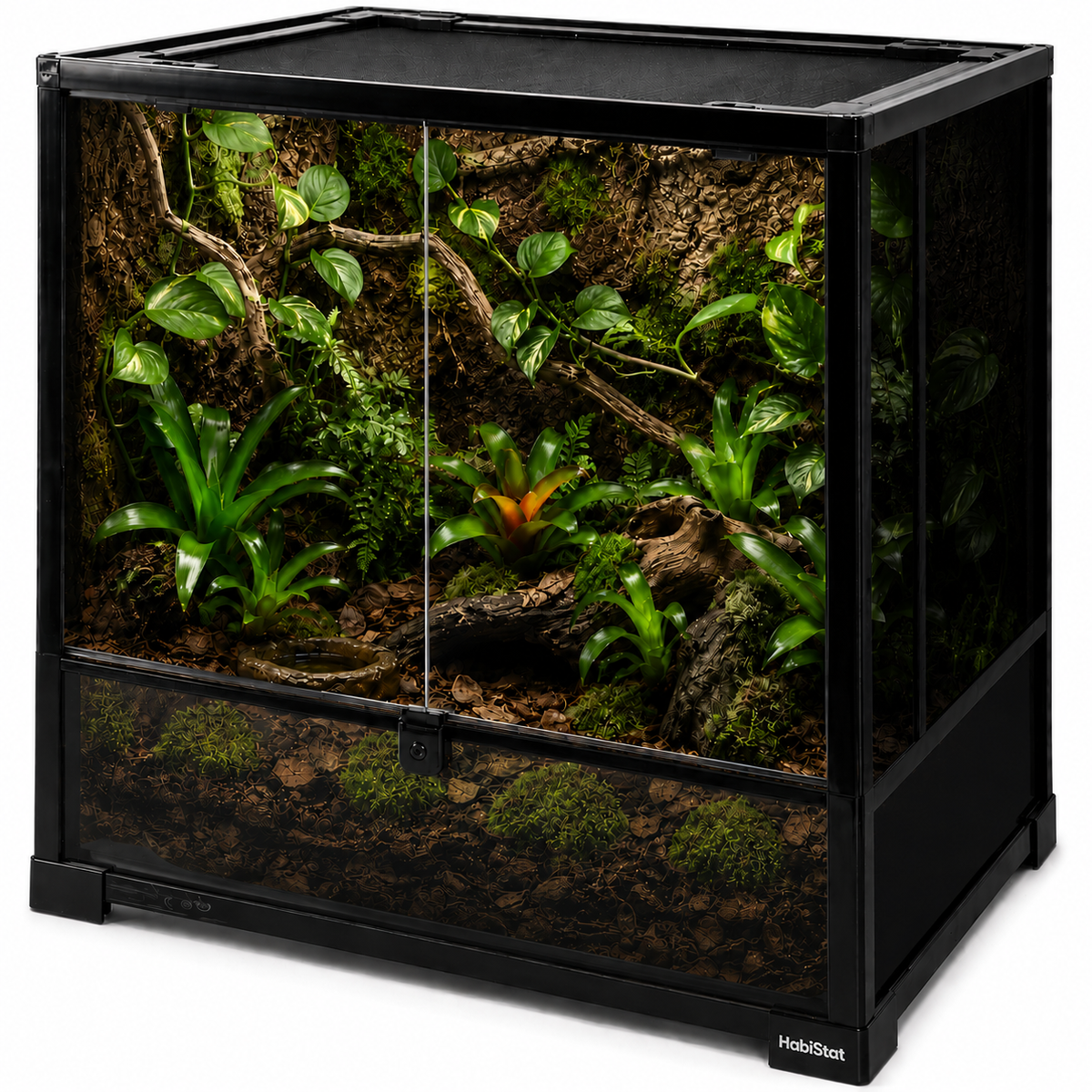 Adult Mourning Gecko Bundle