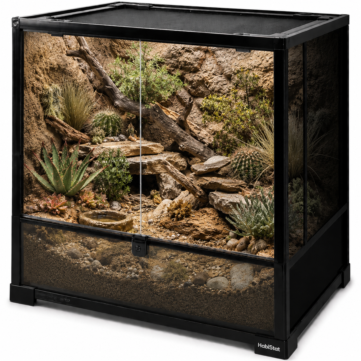 Adult Eastern Spiny-tailed Gecko Ultimate Habitat Bundle