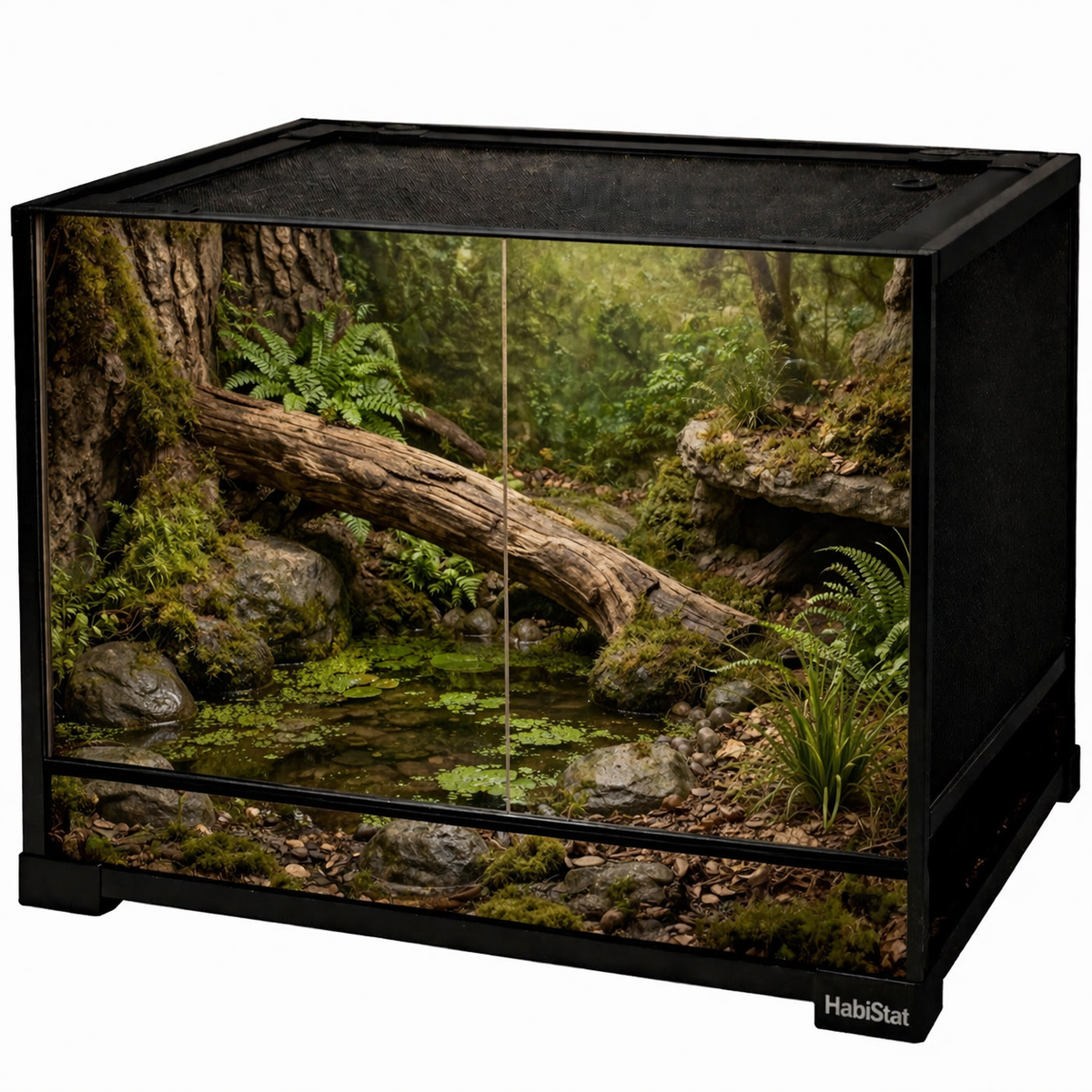 Adult Chinese Fire Bellied Newt Bundle